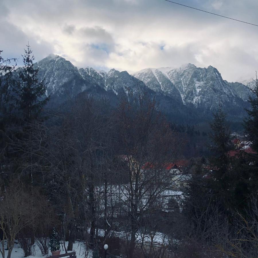 Bohemian Chalet Villa Buşteni Dış mekan fotoğraf