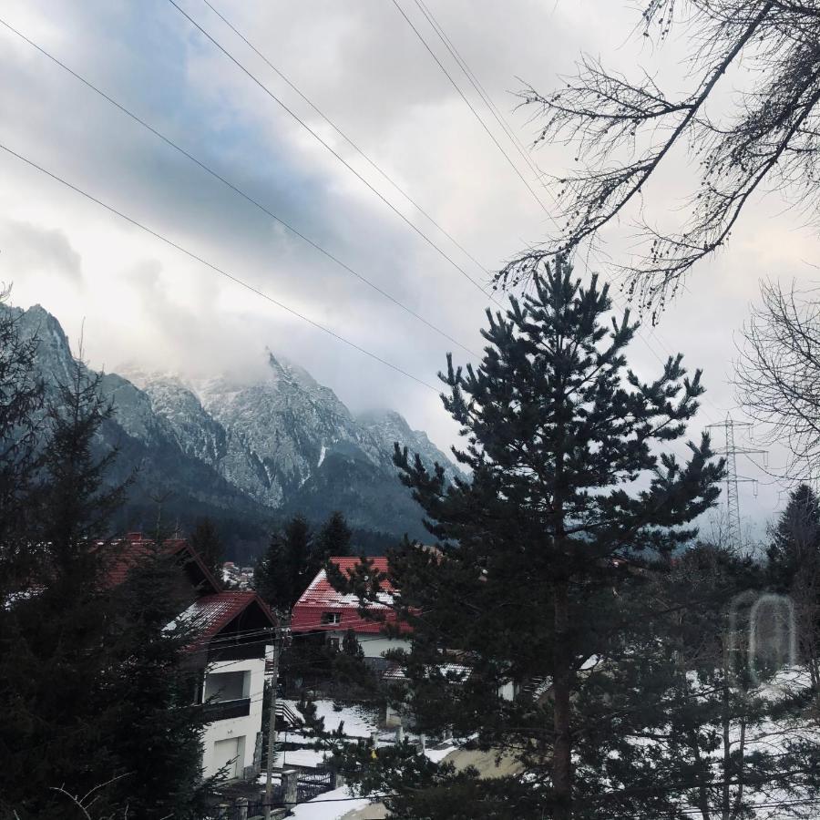 Bohemian Chalet Villa Buşteni Dış mekan fotoğraf