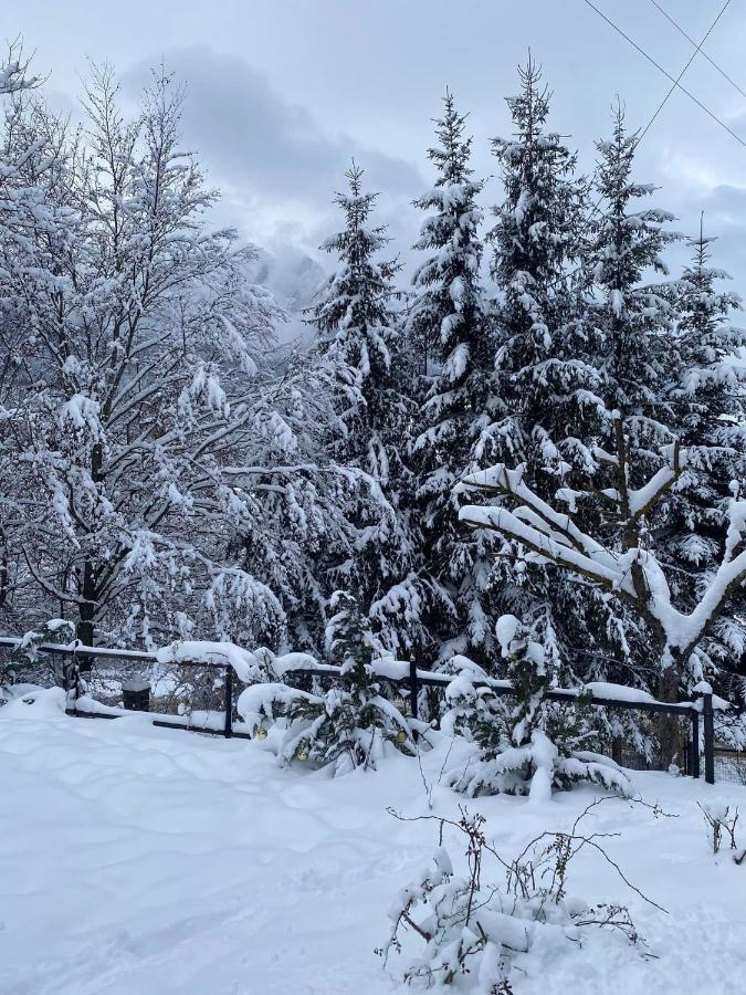 Bohemian Chalet Villa Buşteni Dış mekan fotoğraf