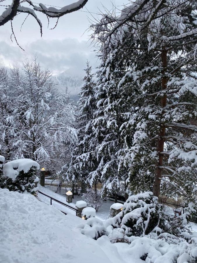 Bohemian Chalet Villa Buşteni Dış mekan fotoğraf