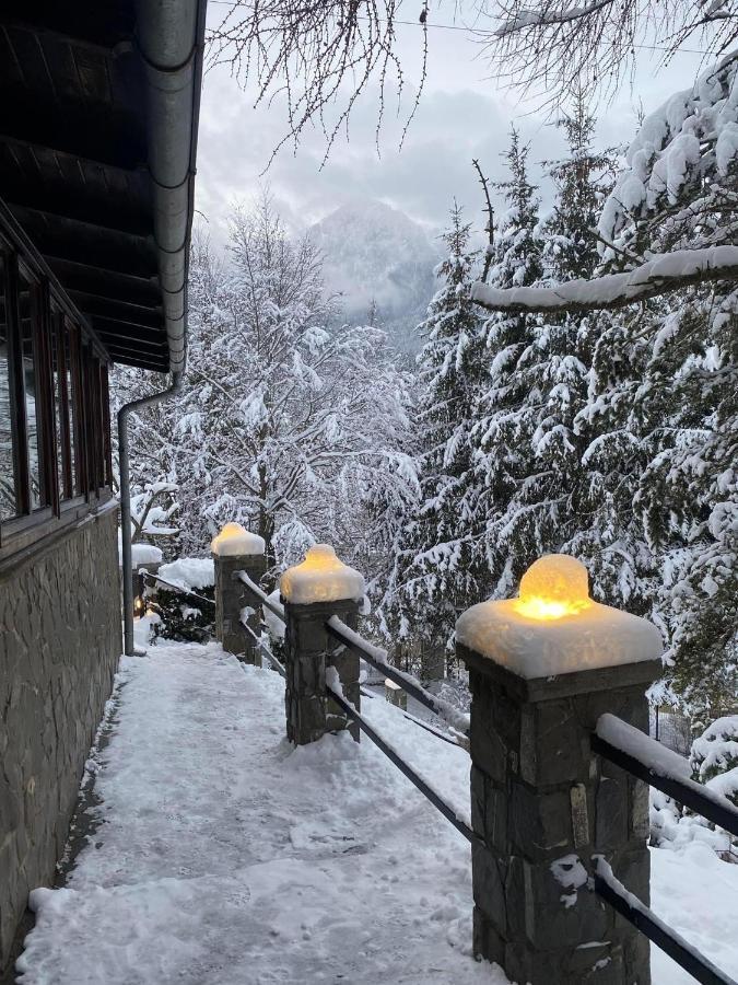 Bohemian Chalet Villa Buşteni Dış mekan fotoğraf