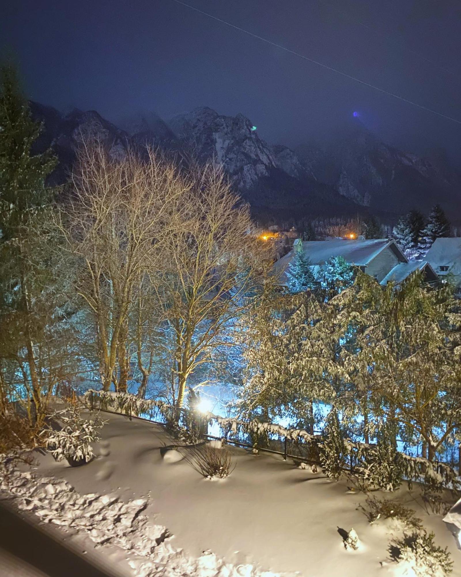 Bohemian Chalet Villa Buşteni Dış mekan fotoğraf